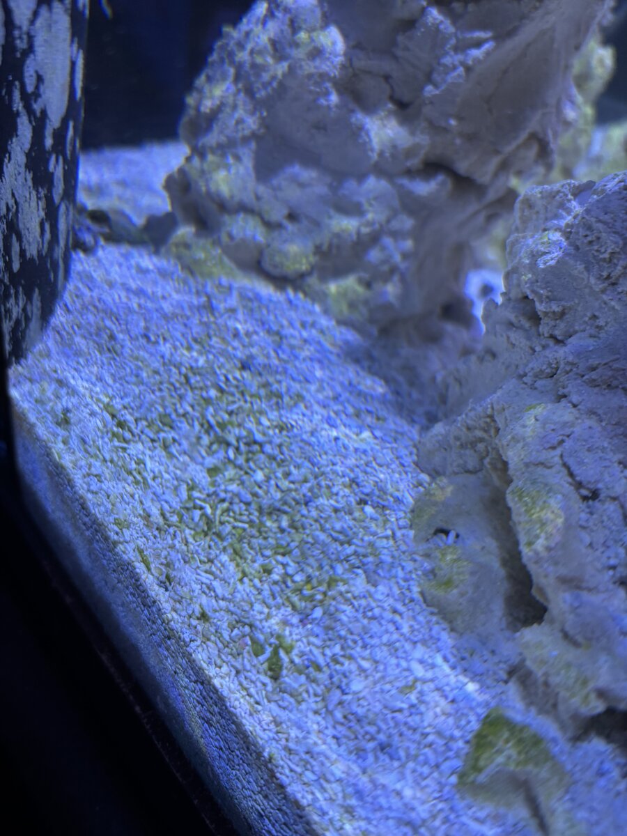 IMG_0355.jpeg