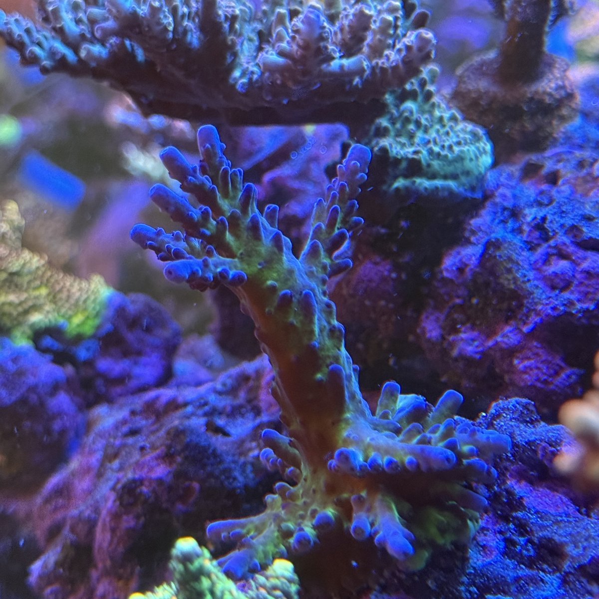 IMG_0356.jpeg