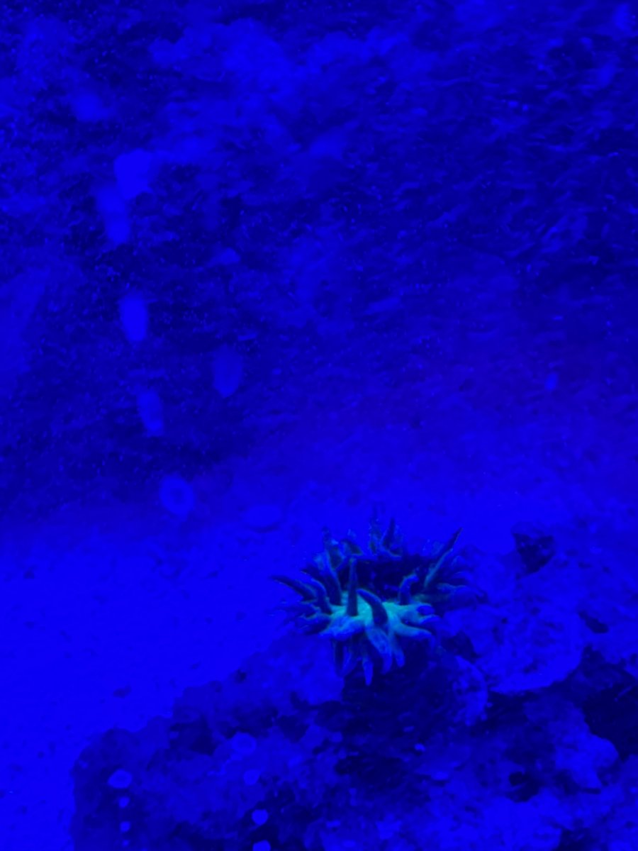 IMG_0356.jpeg
