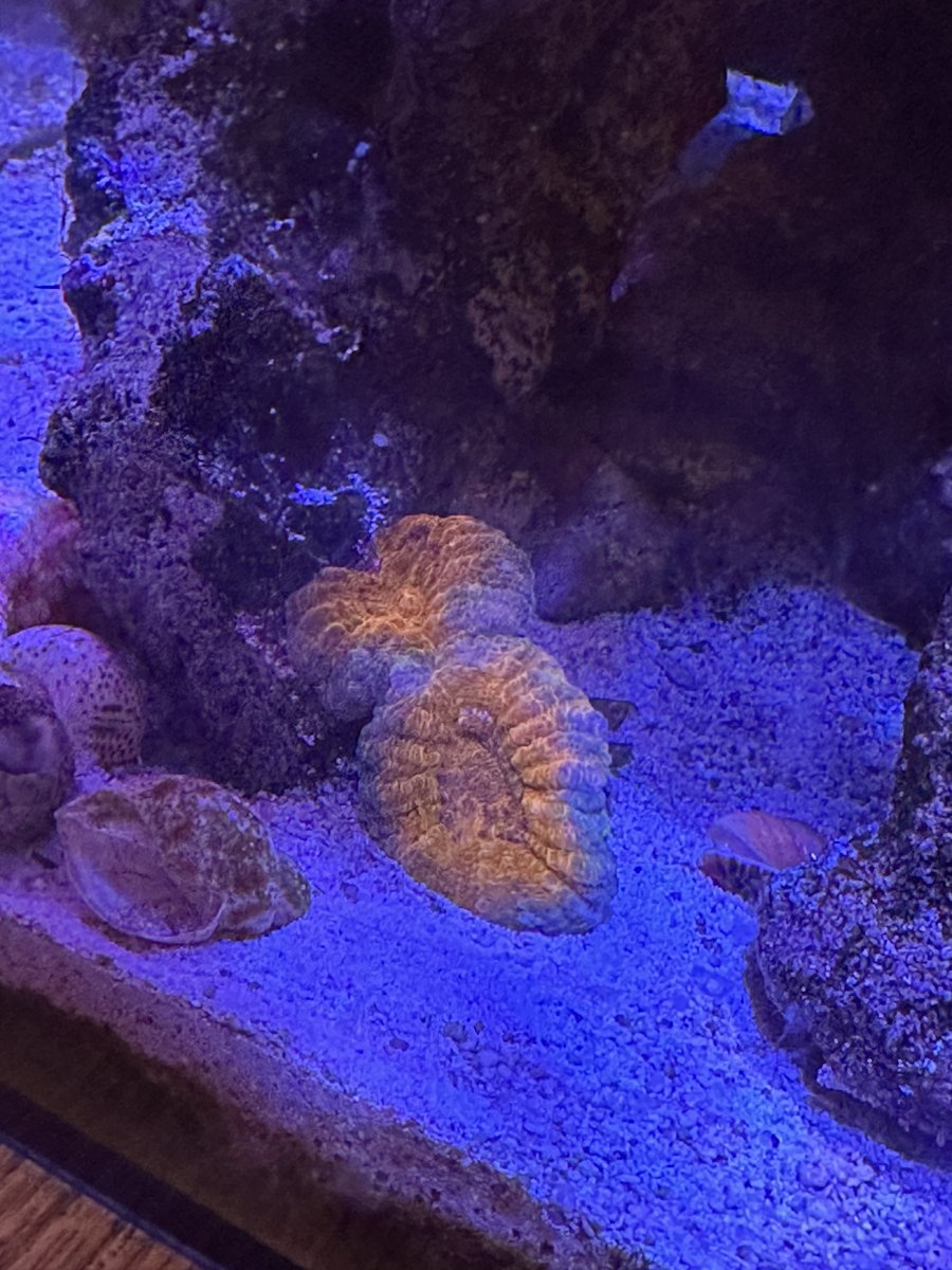 IMG_0359.jpeg