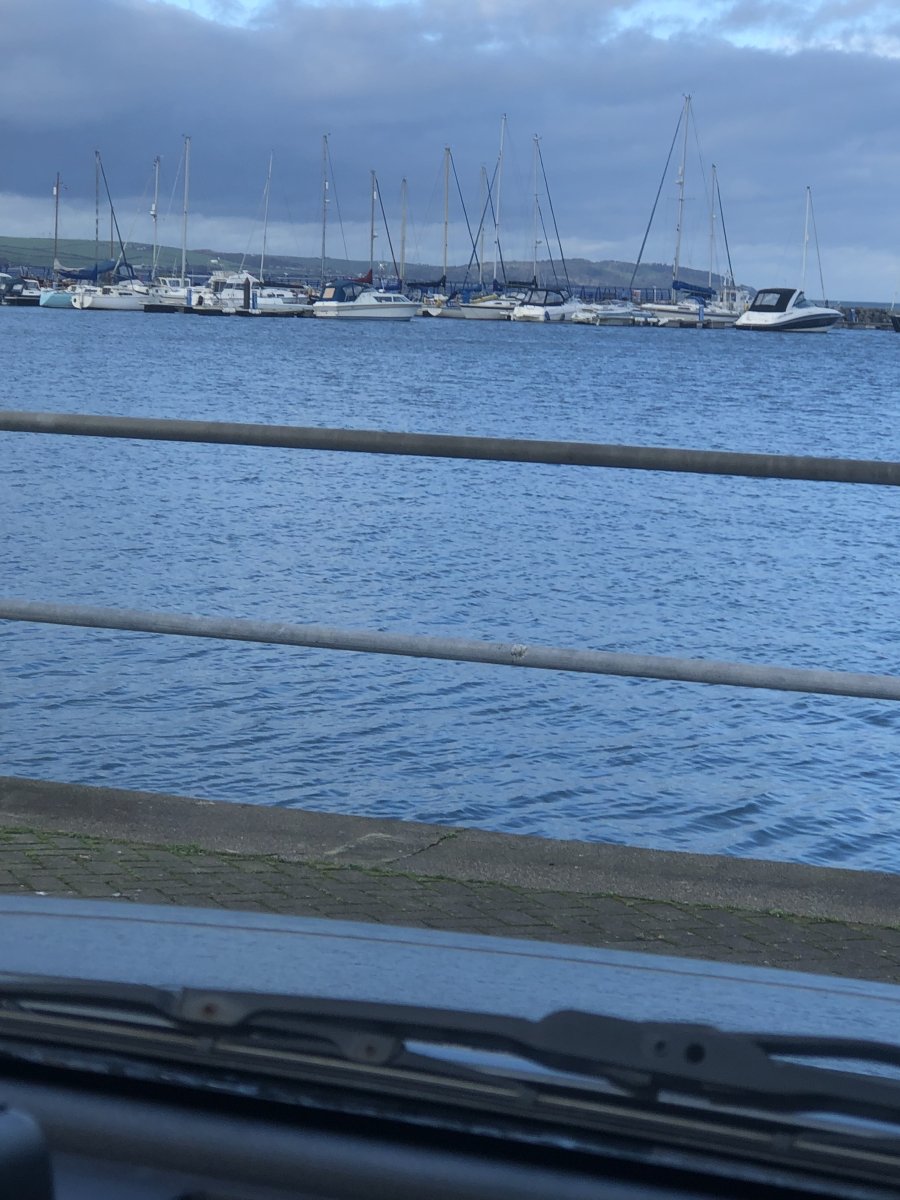 IMG_0364.jpeg