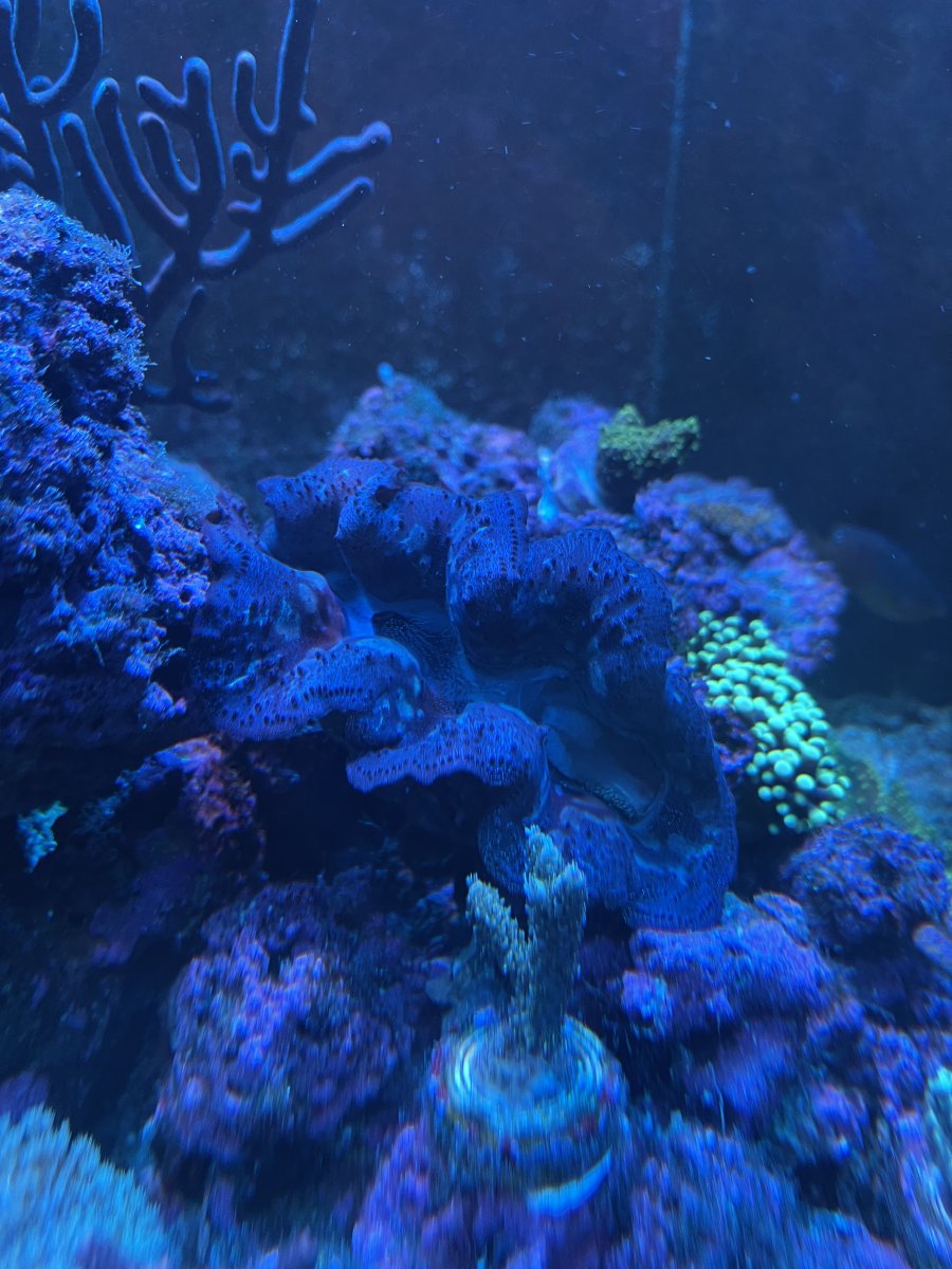 IMG_0365.jpeg