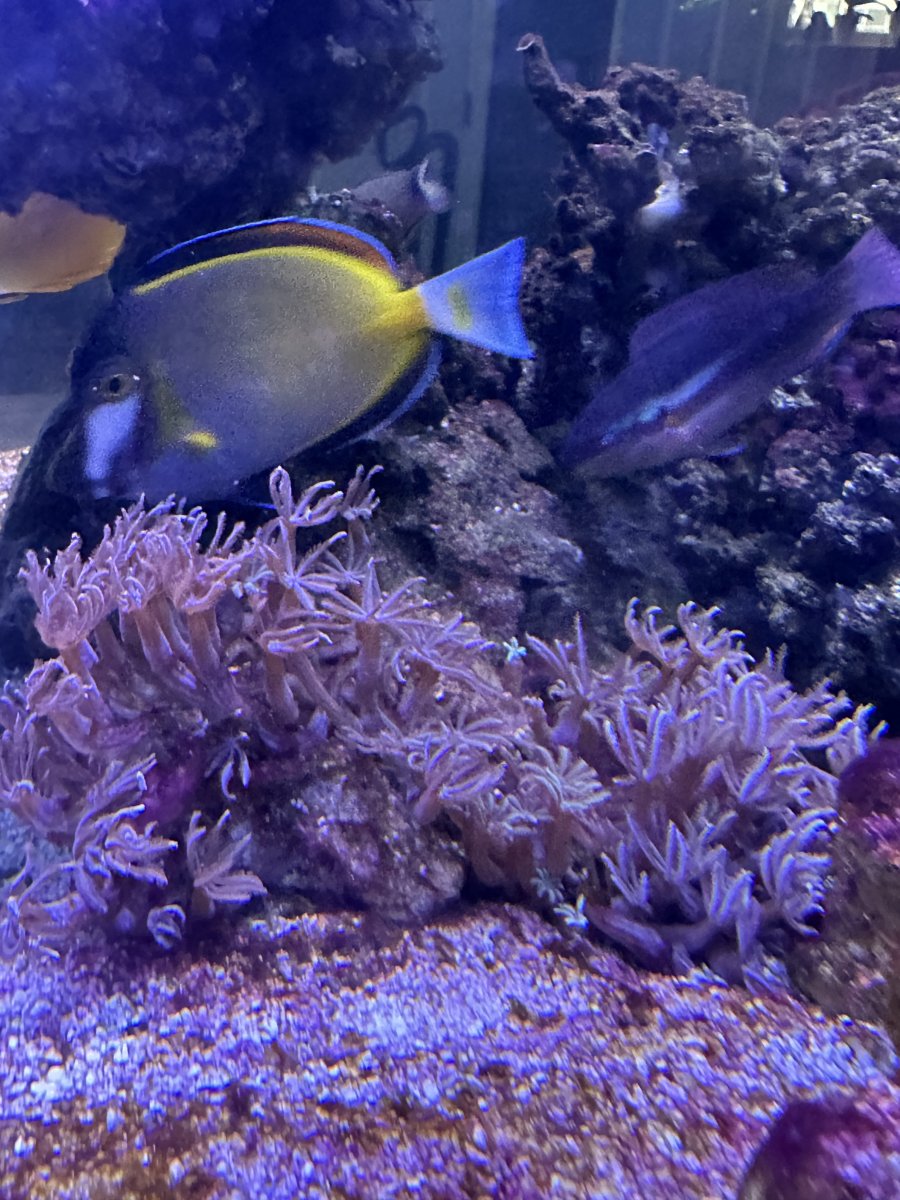 IMG_0369.jpeg