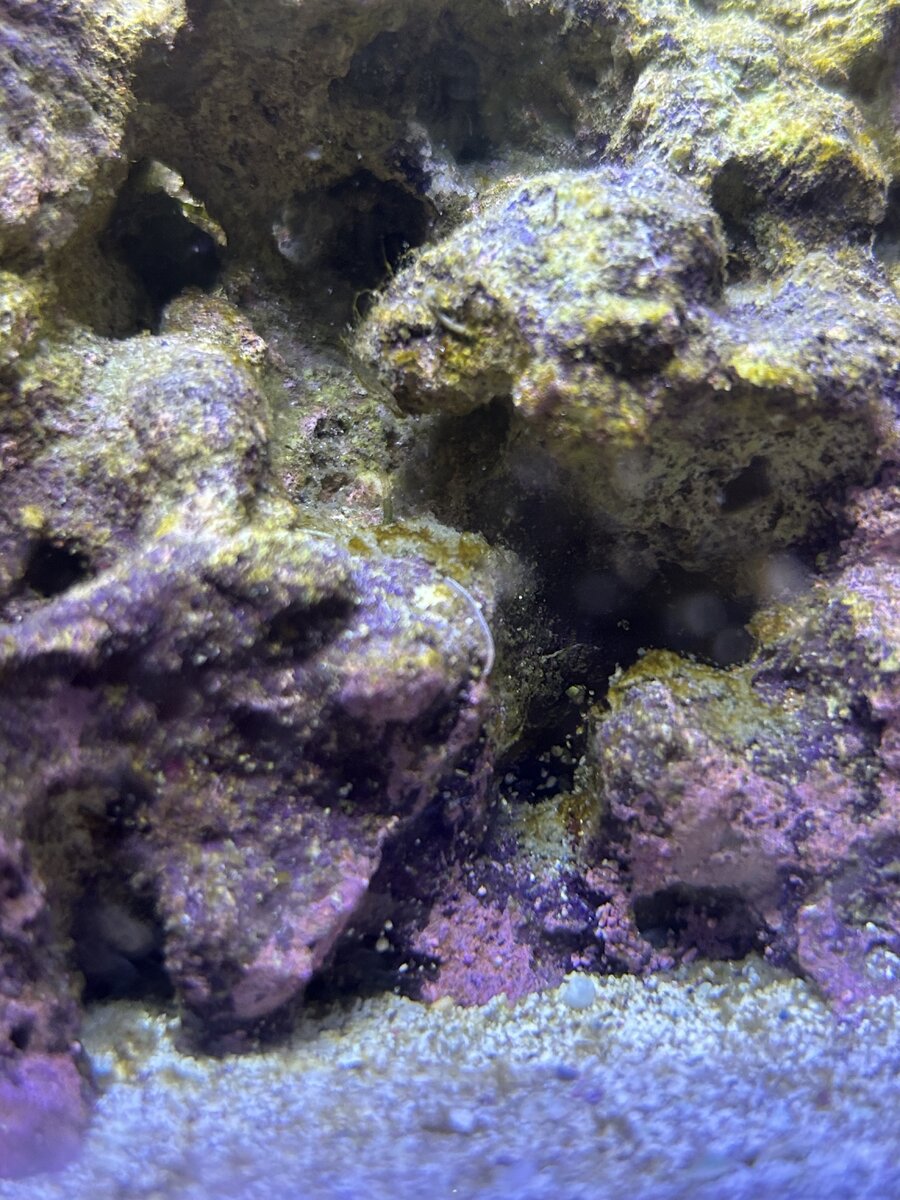 IMG_0372.jpeg