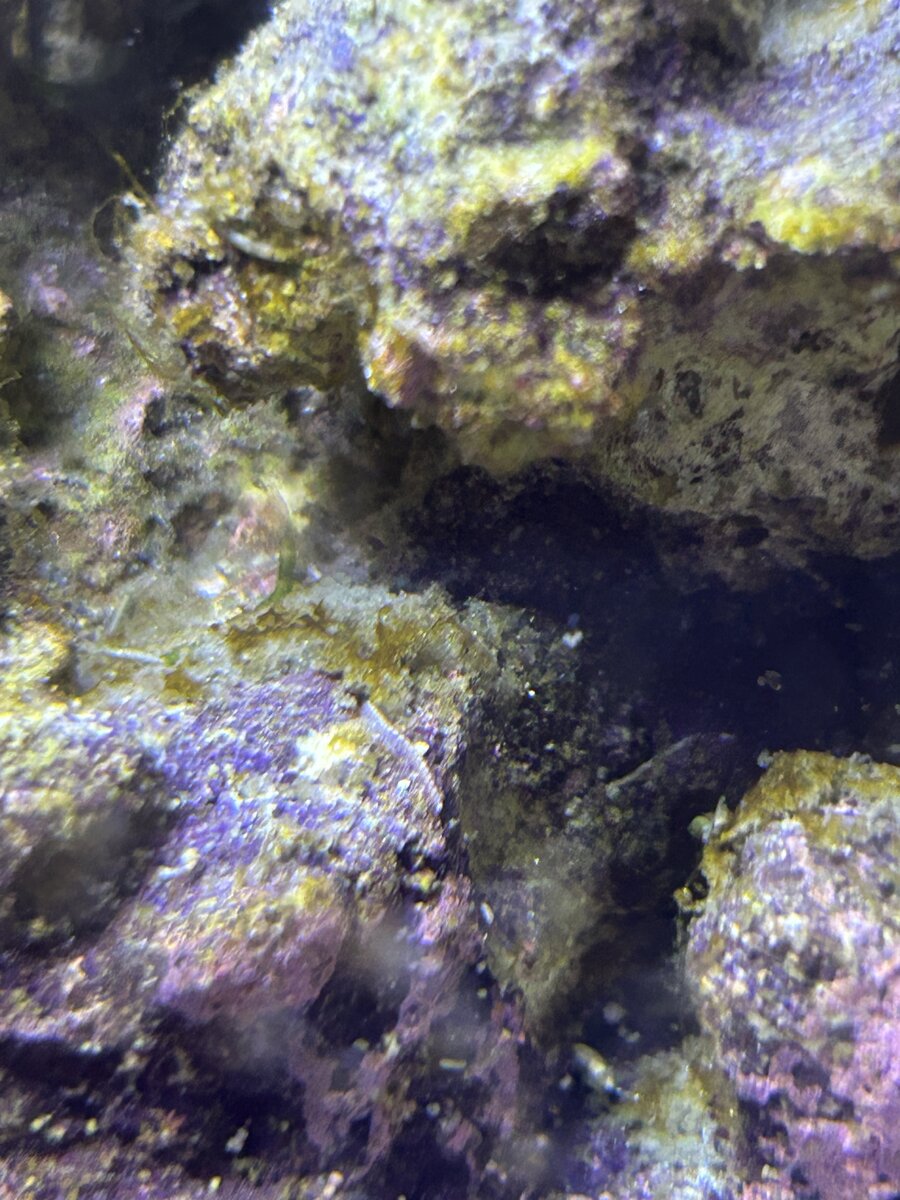 IMG_0373.jpeg
