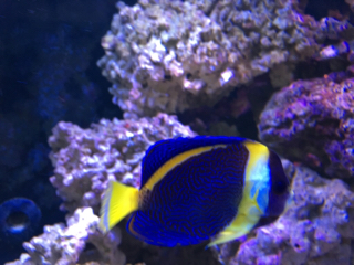 IMG_0375.JPG