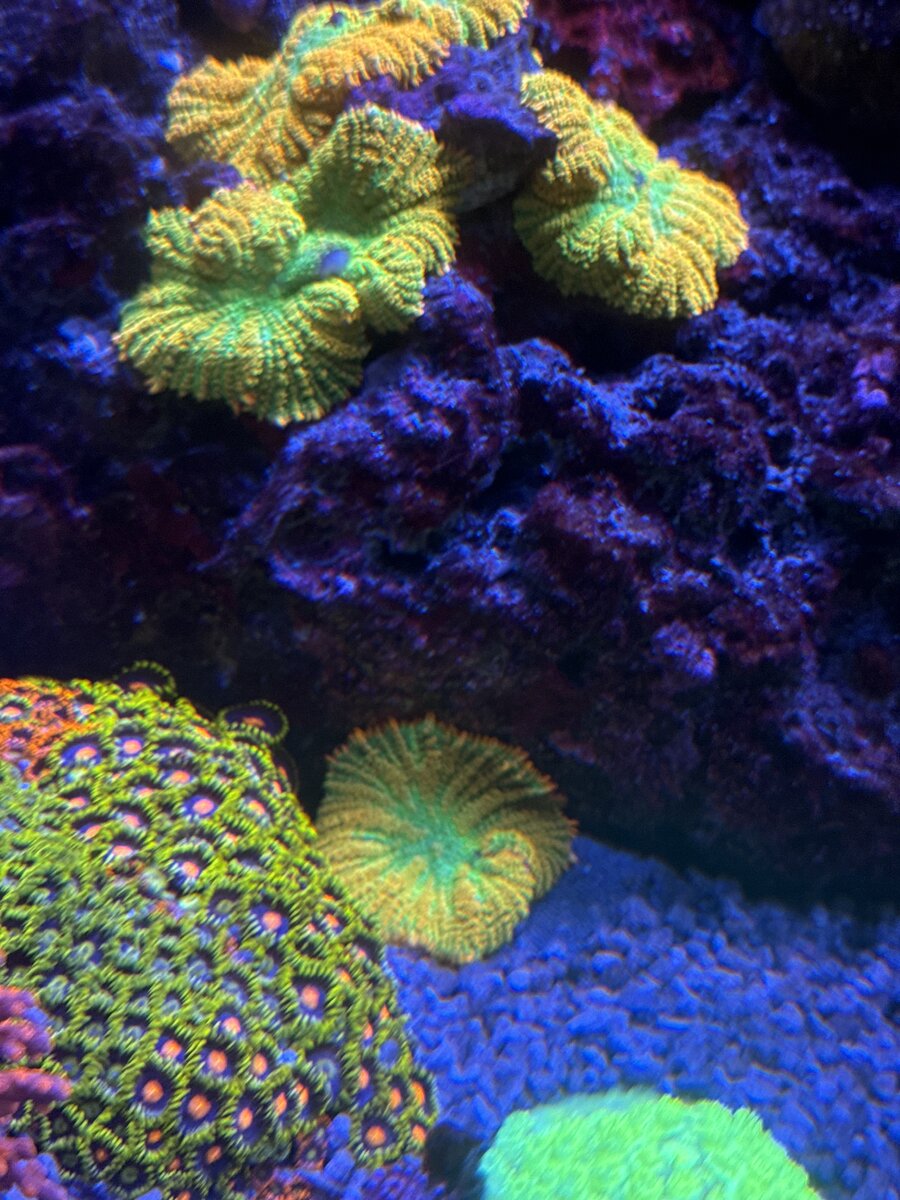 IMG_0378.jpeg