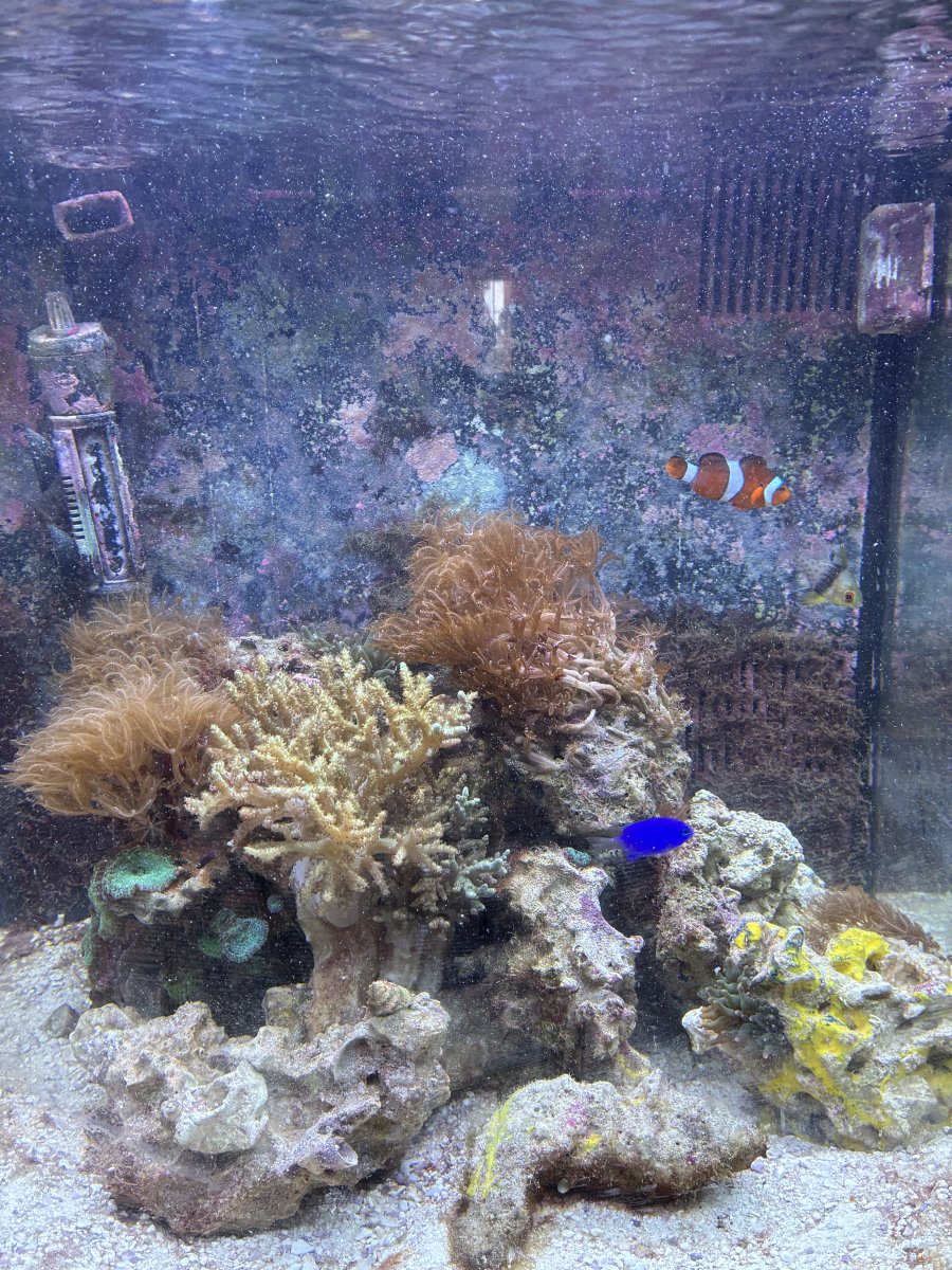 IMG_0379.jpeg