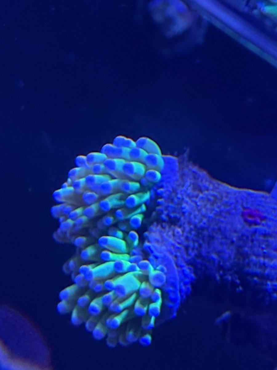 IMG_0381.jpeg