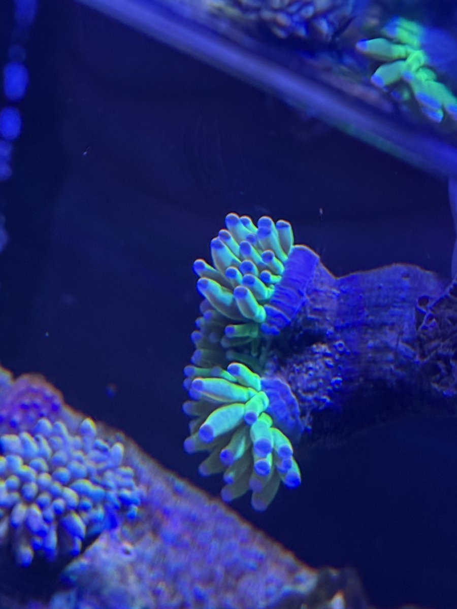 IMG_0383.jpeg