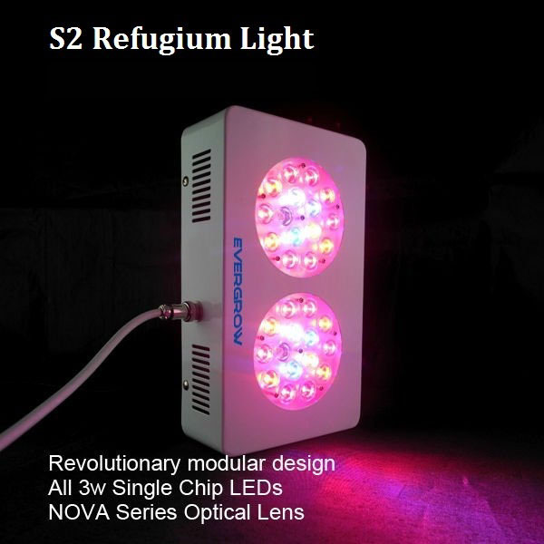 Looking for a Refugium Light | Reef2Reef