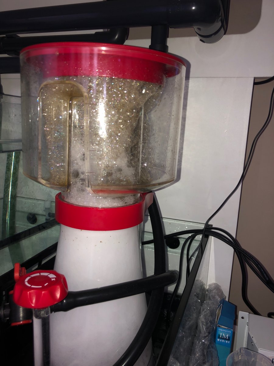 The new Red Sea REEFER Protein Skimmers are now in production. | Page 6 ...