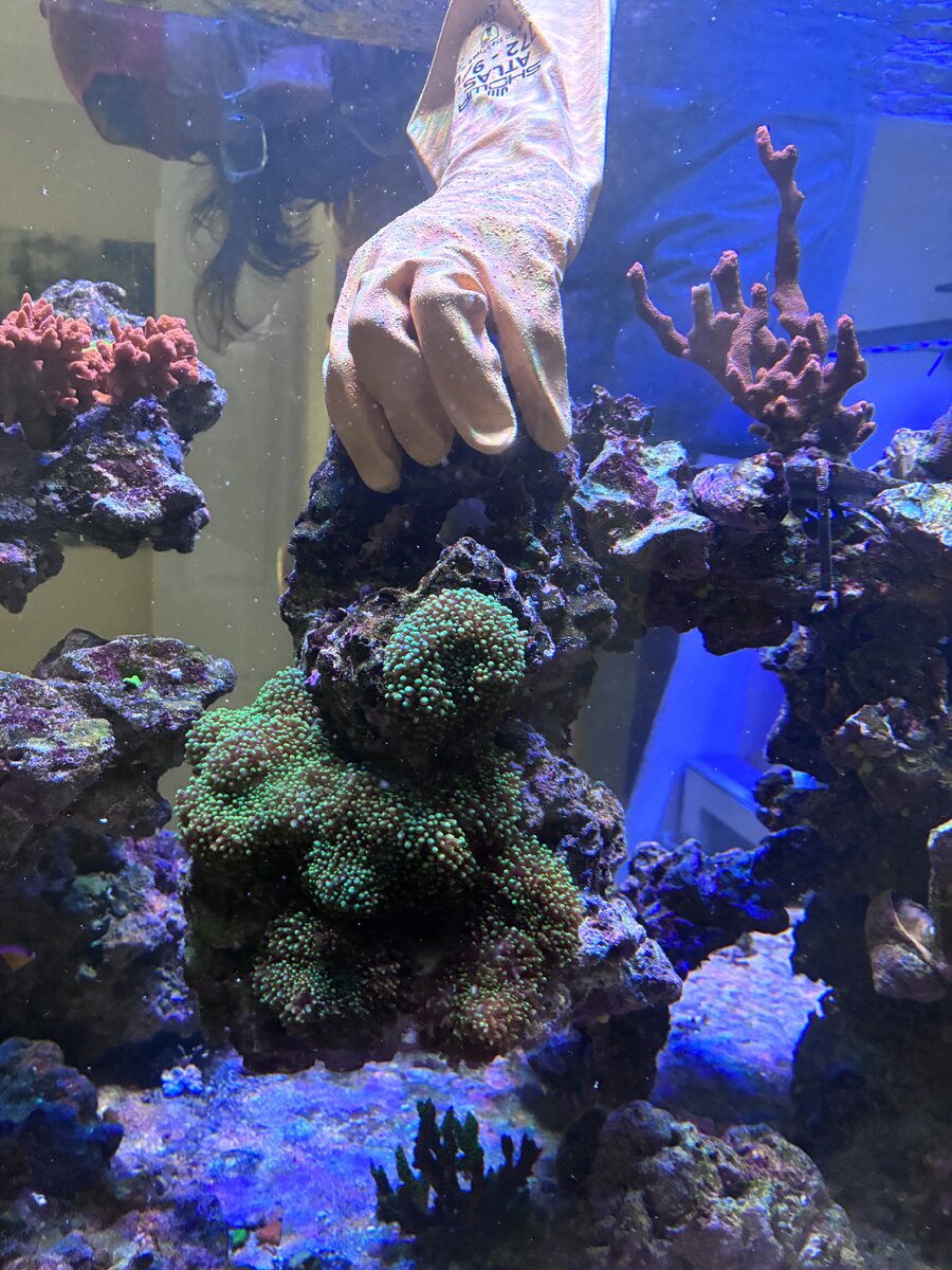 IMG_0393.jpeg