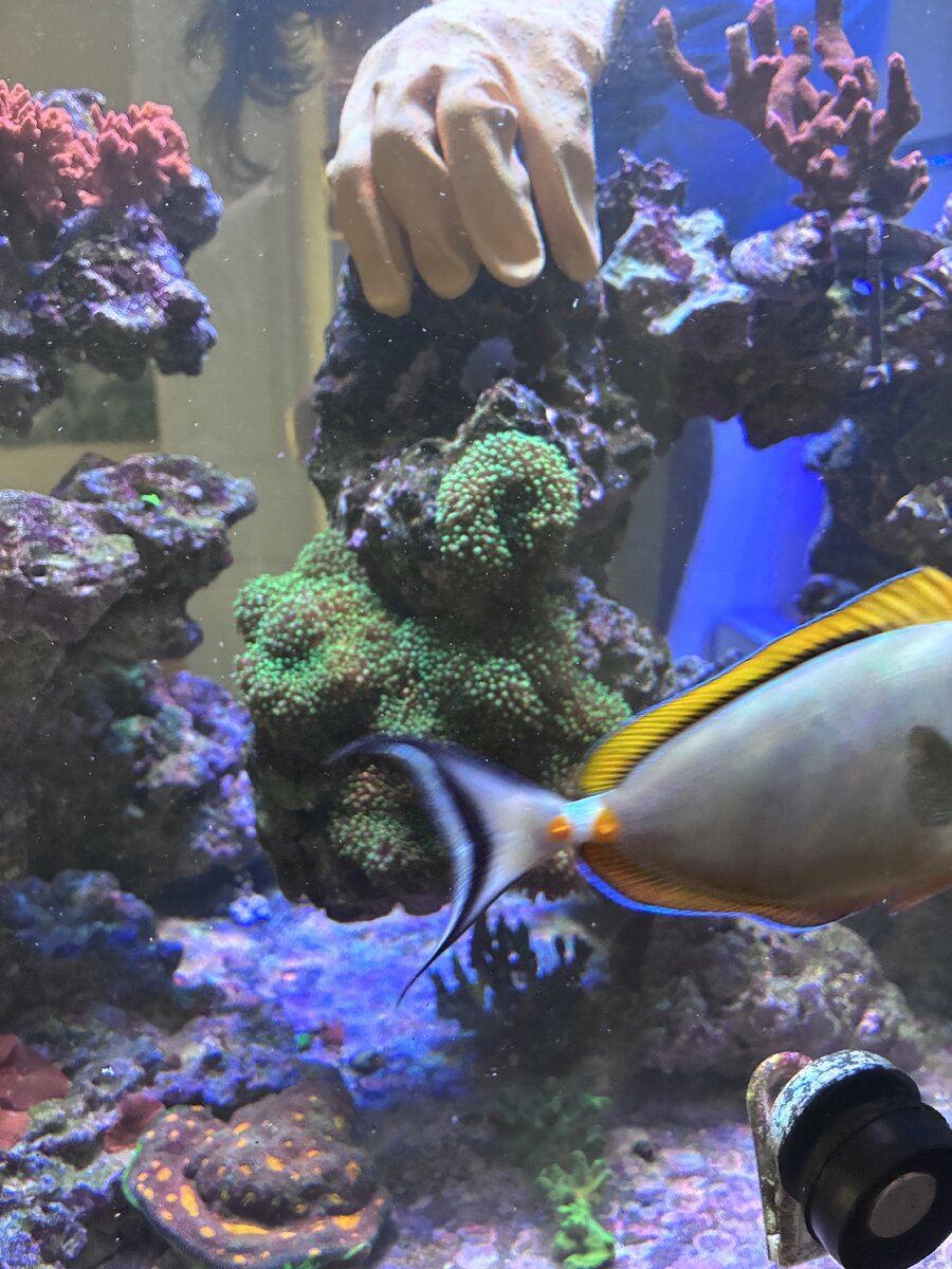 IMG_0394.jpeg