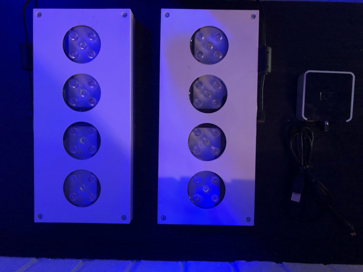 North Carolina 2 Original Hydra Gen 1 And Ai Director F S Reef2reef Saltwater And Reef Aquarium Forum