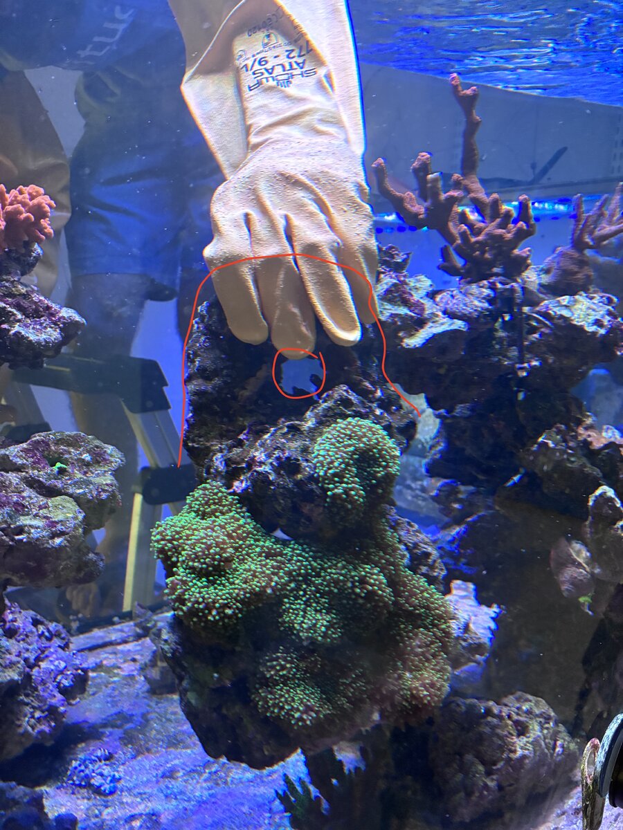 IMG_0397.jpeg