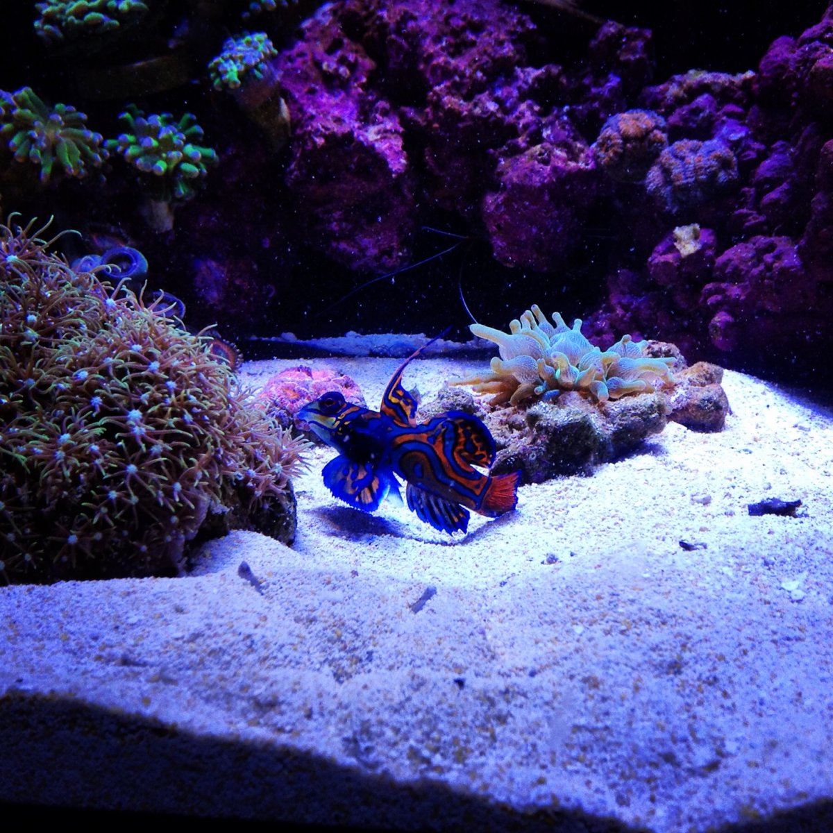 IMG_0397.JPG