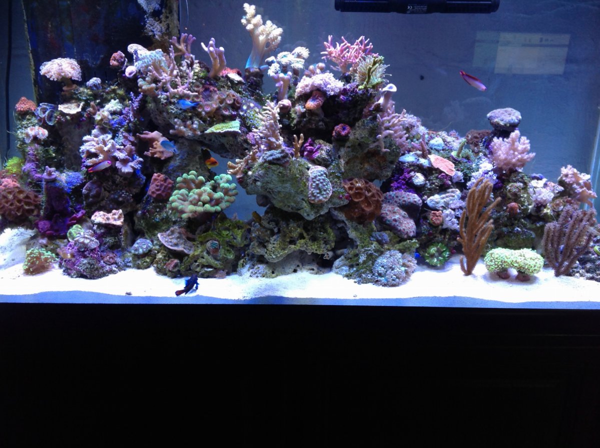 IMG_0405.JPG