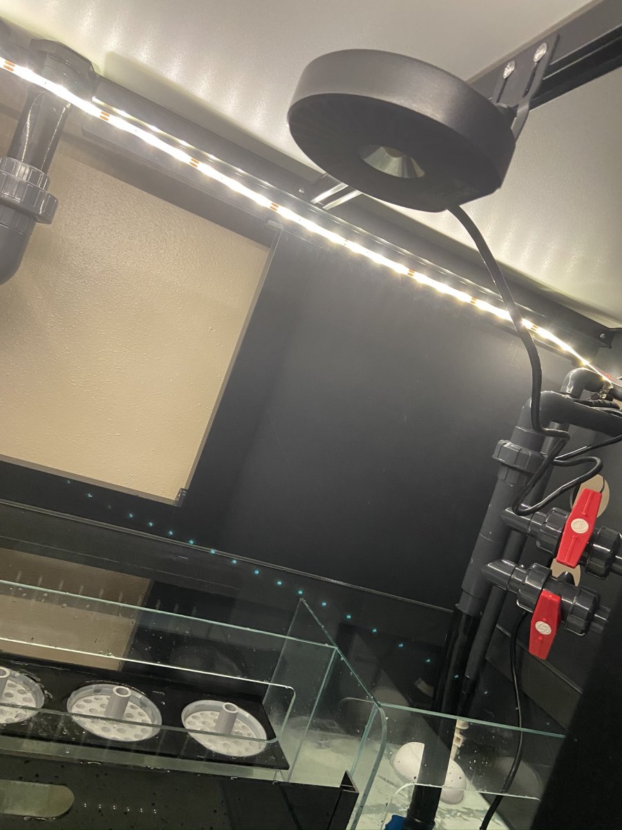 IMG_0407.JPEG