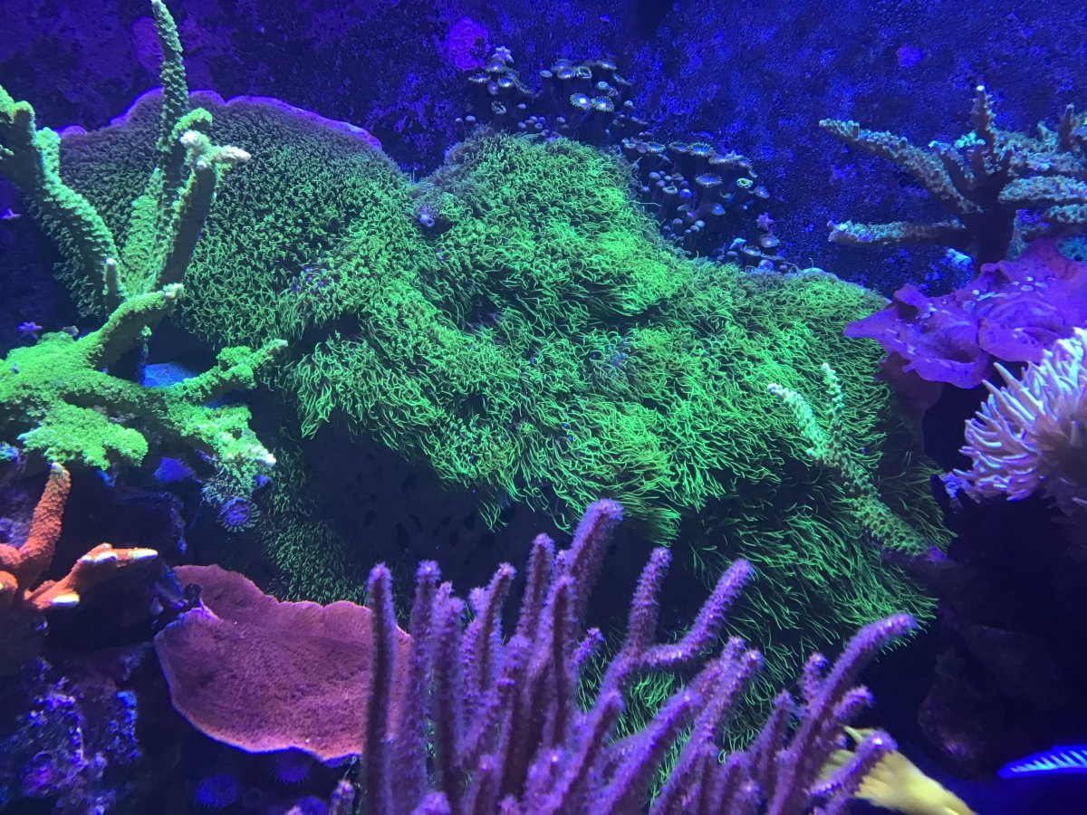 IMG_0410.jpeg
