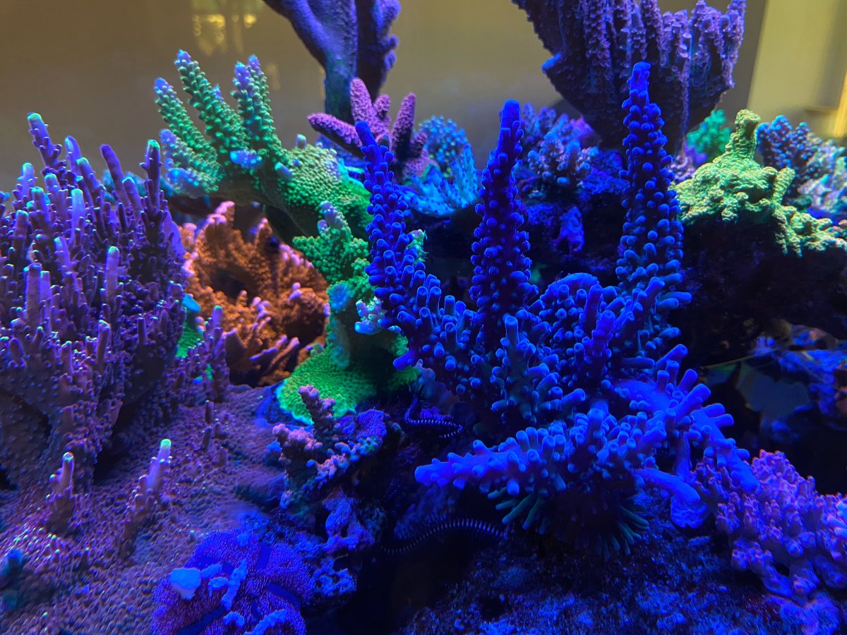 IMG_0413.jpeg