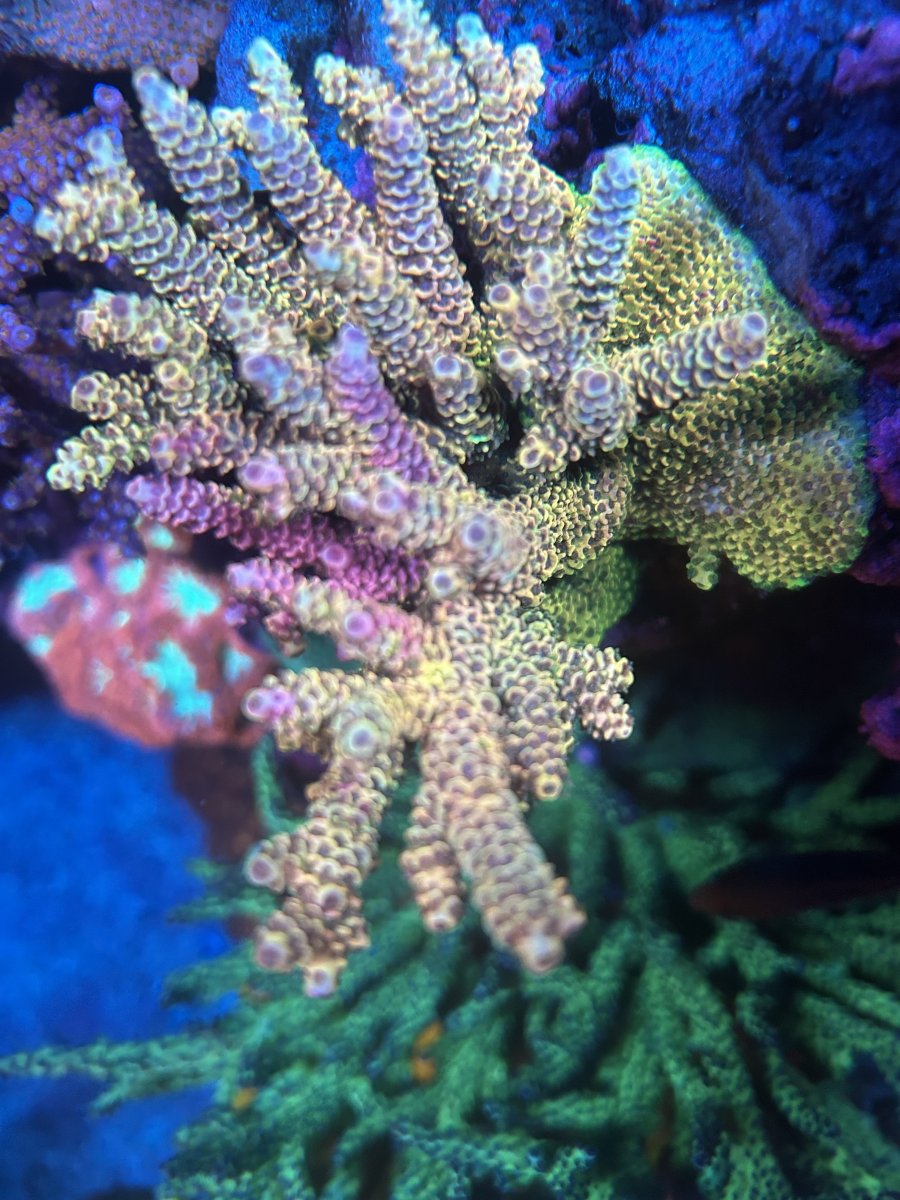 IMG_0420.jpeg