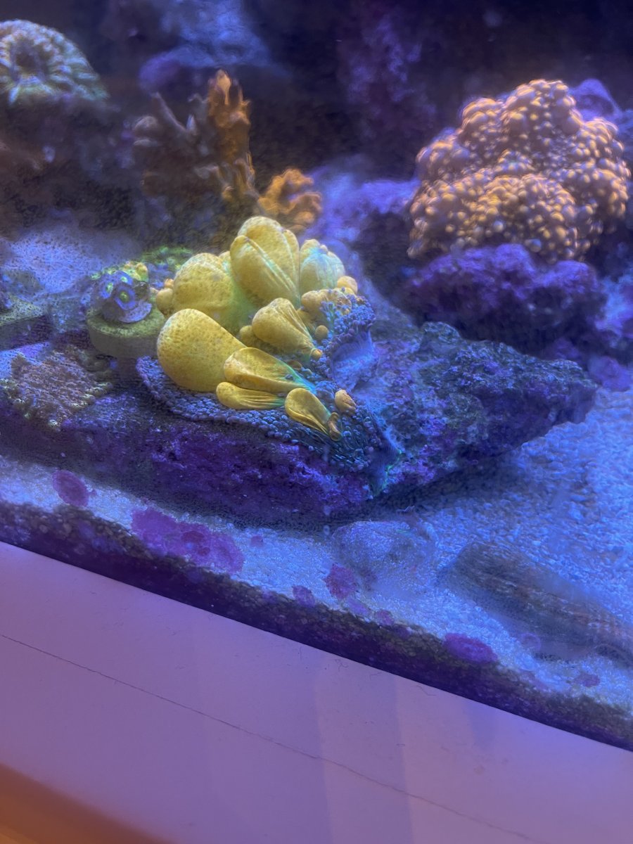 IMG_0428.jpeg