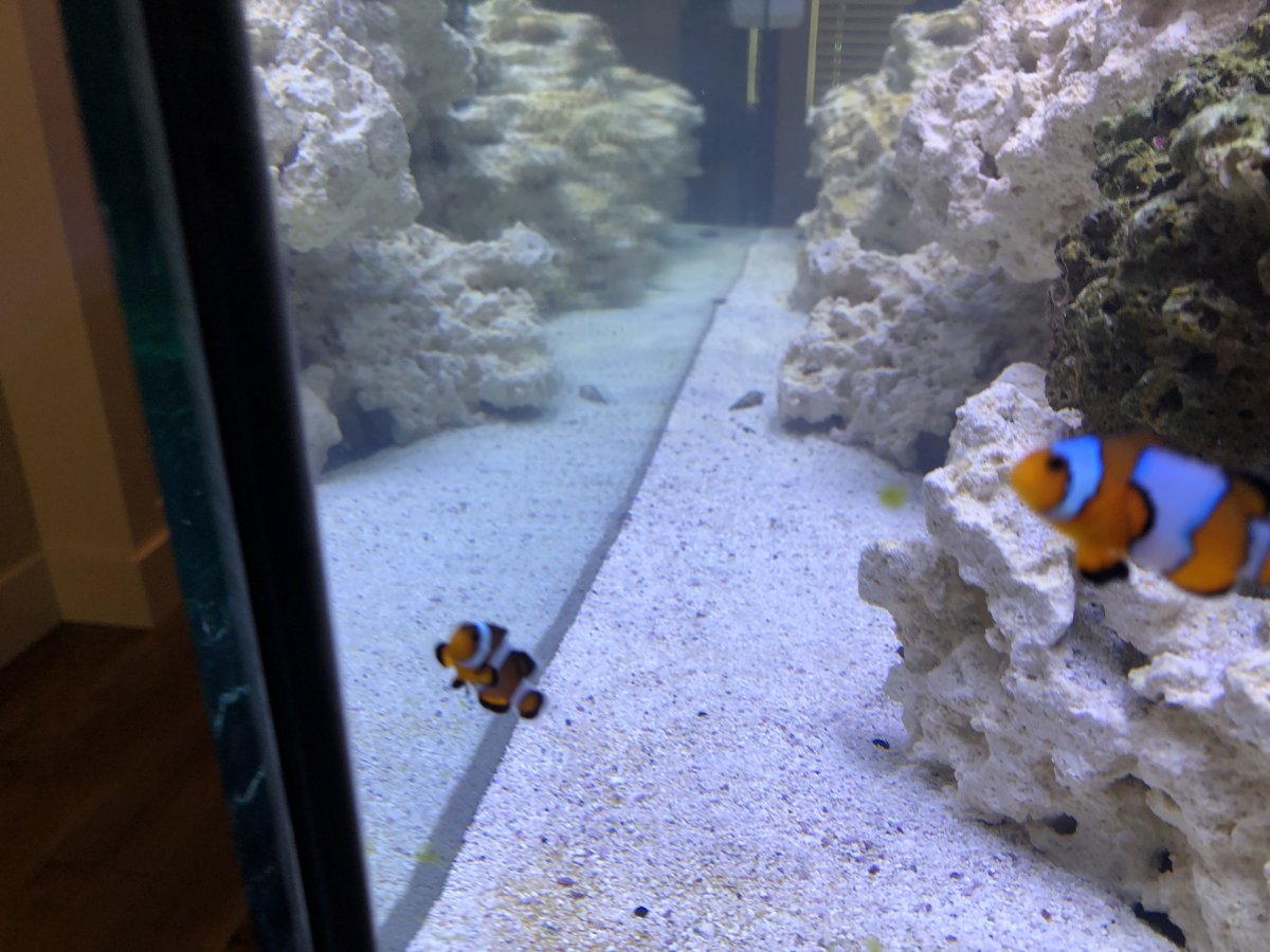 IMG_0430.jpeg