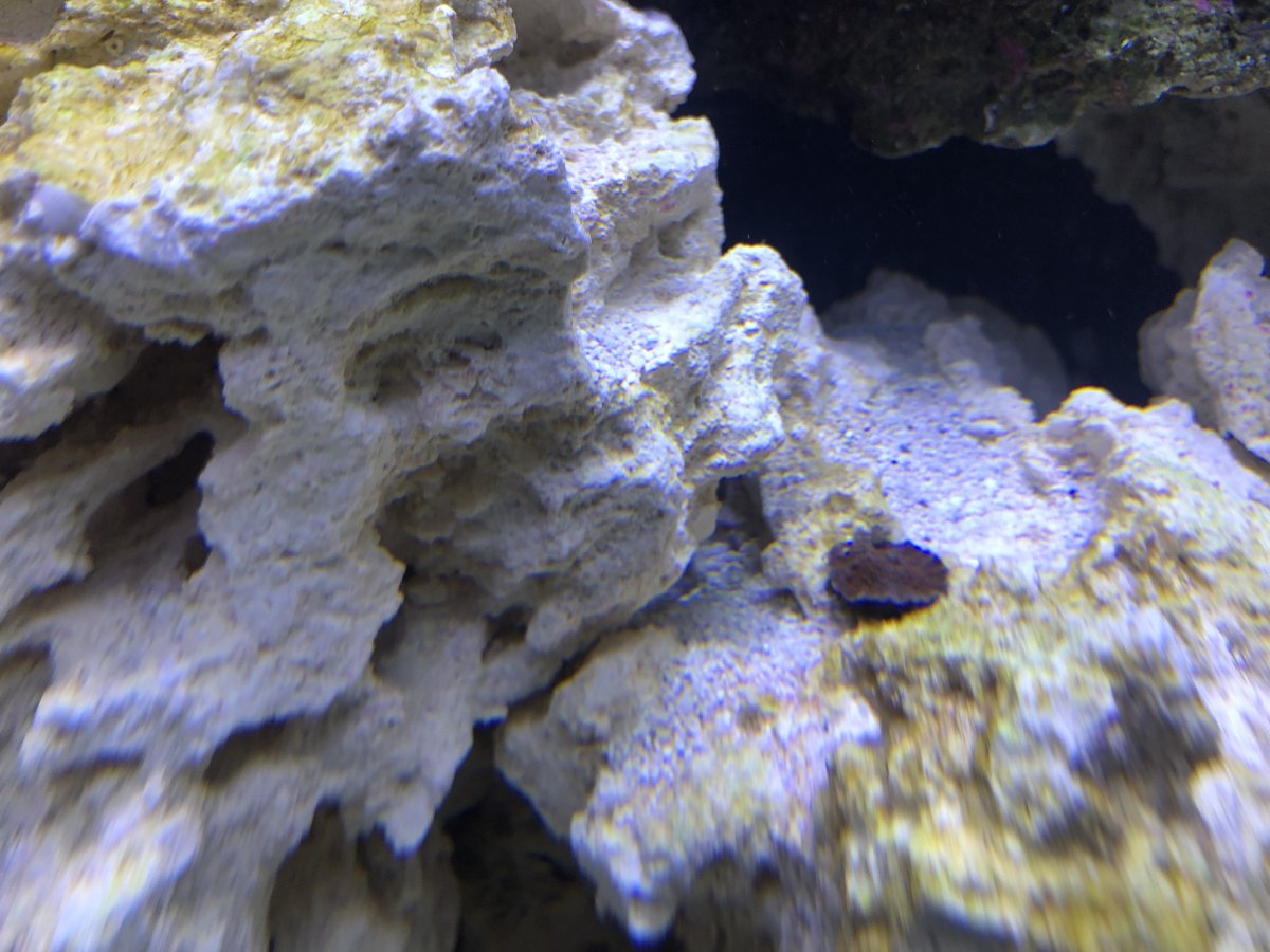 IMG_0432.jpeg