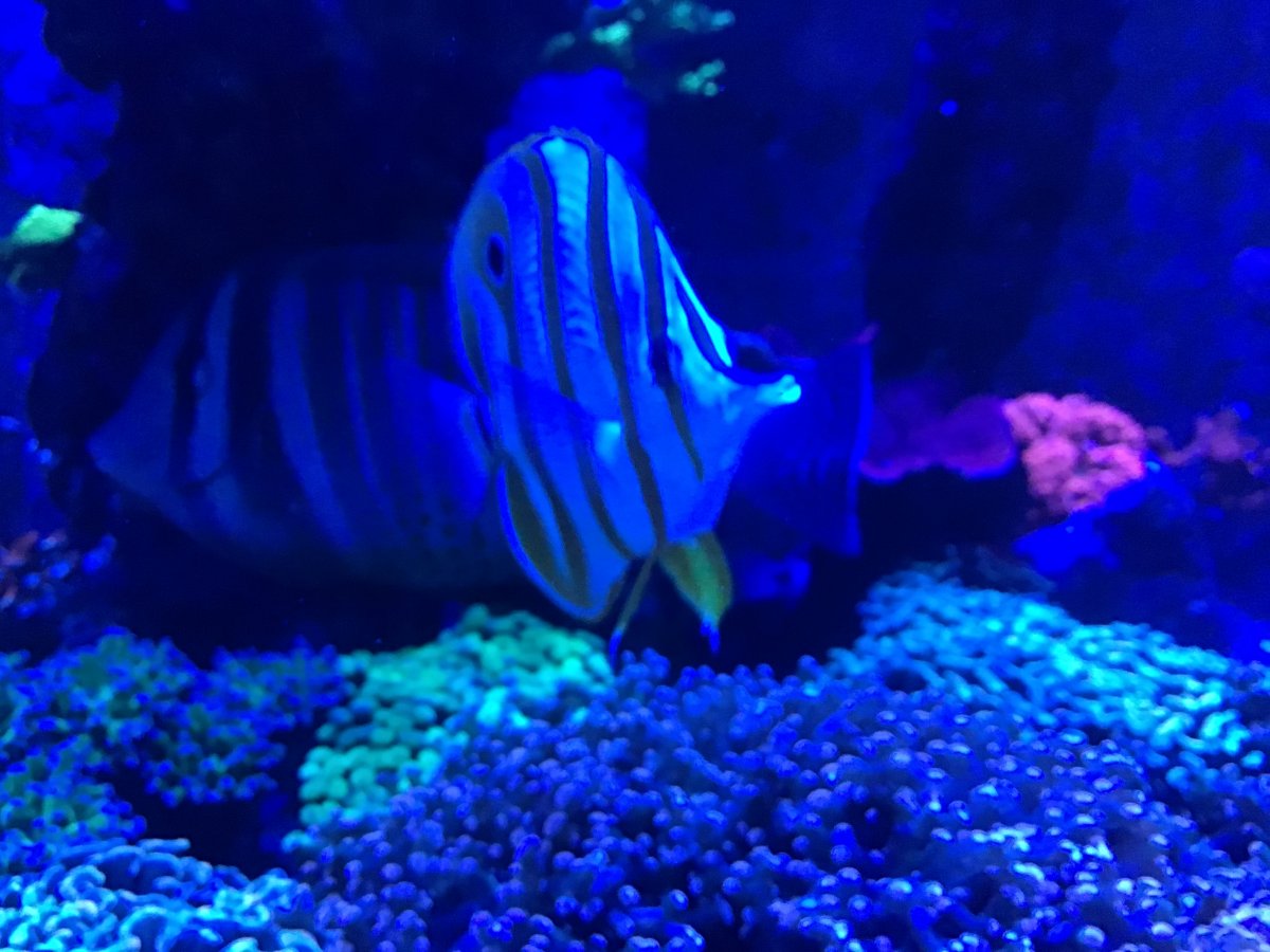 IMG_0440.jpeg