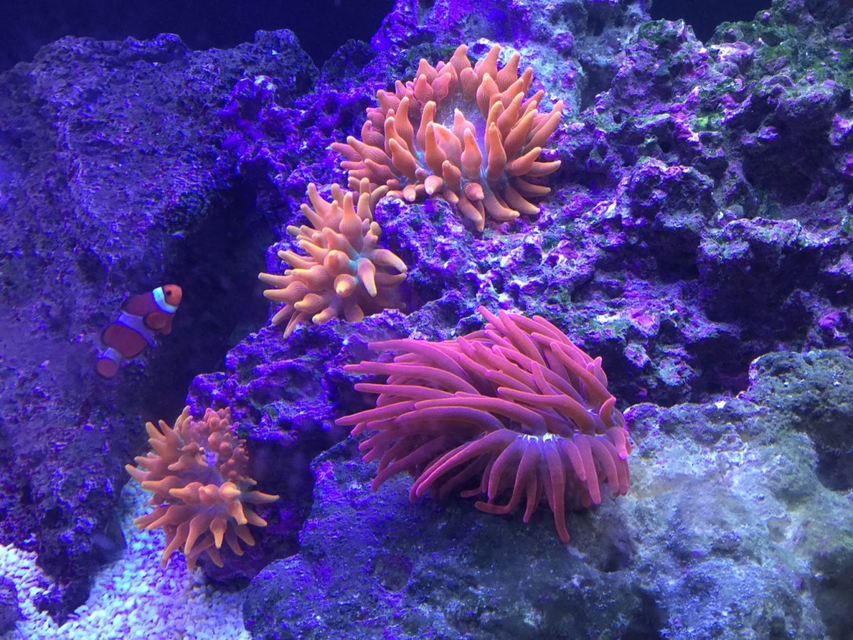 IMG_0443.JPG