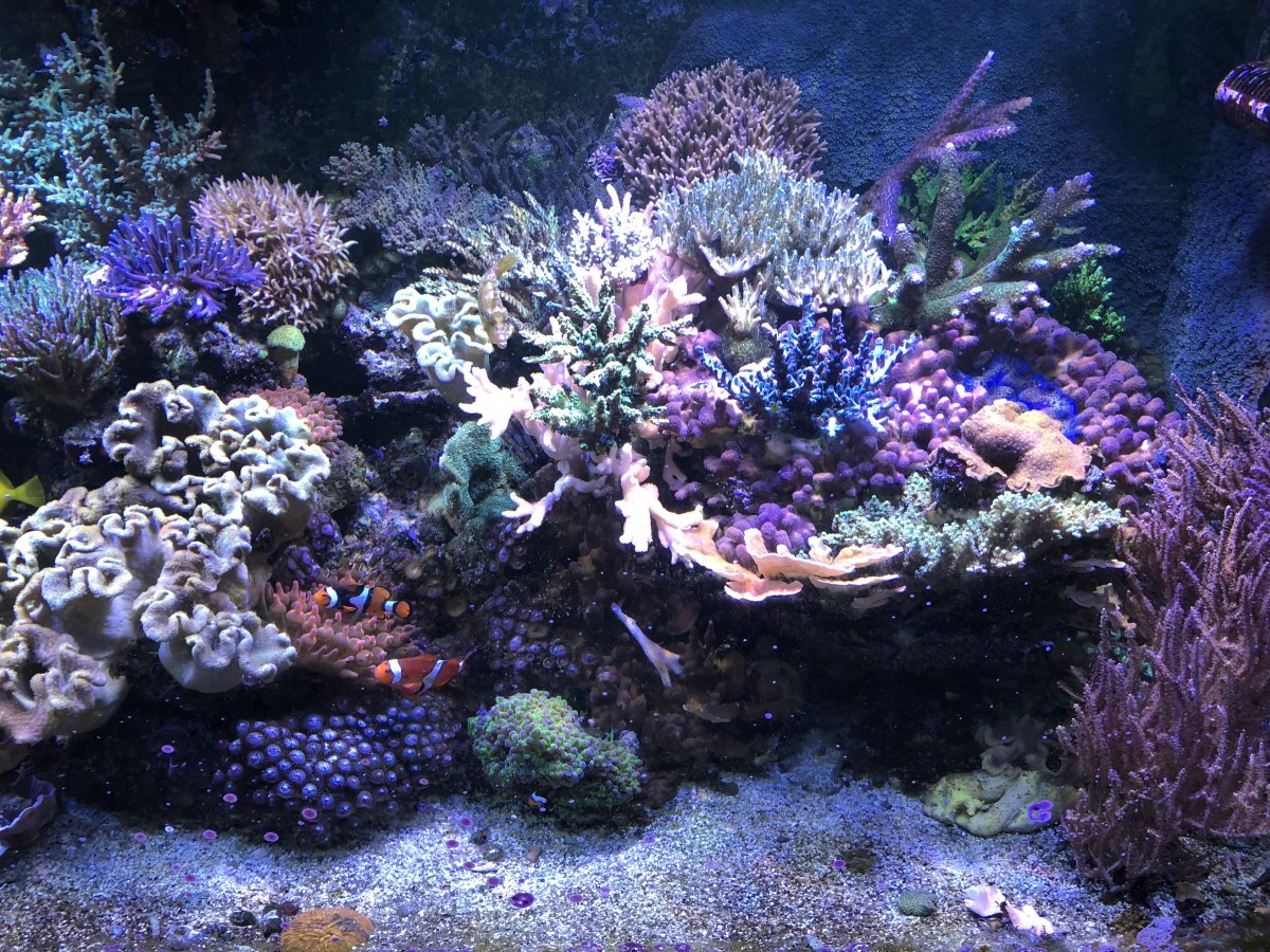 IMG_0444.jpg