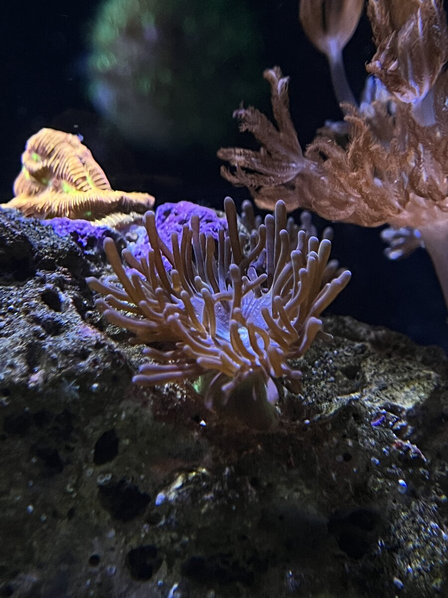 IMG_0449.jpeg