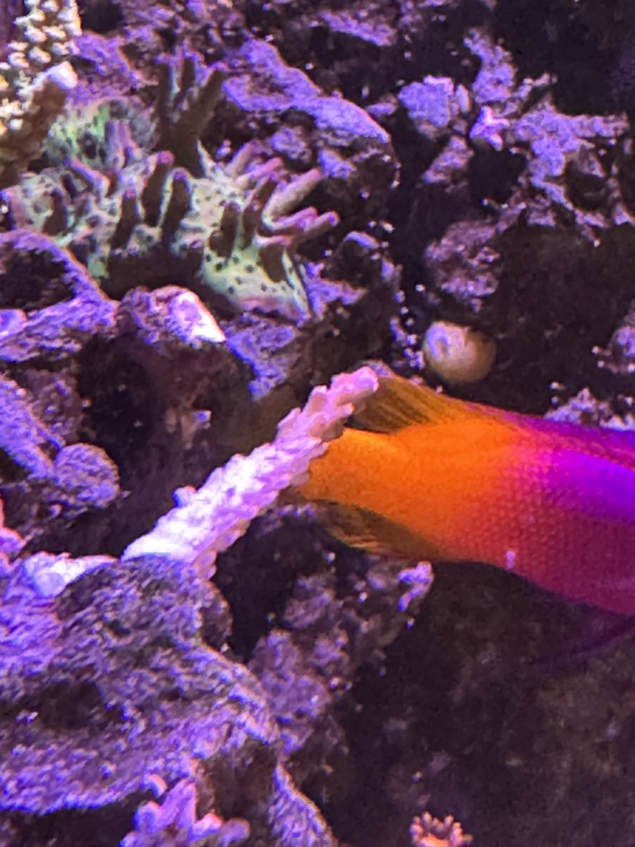 IMG_0461.jpeg