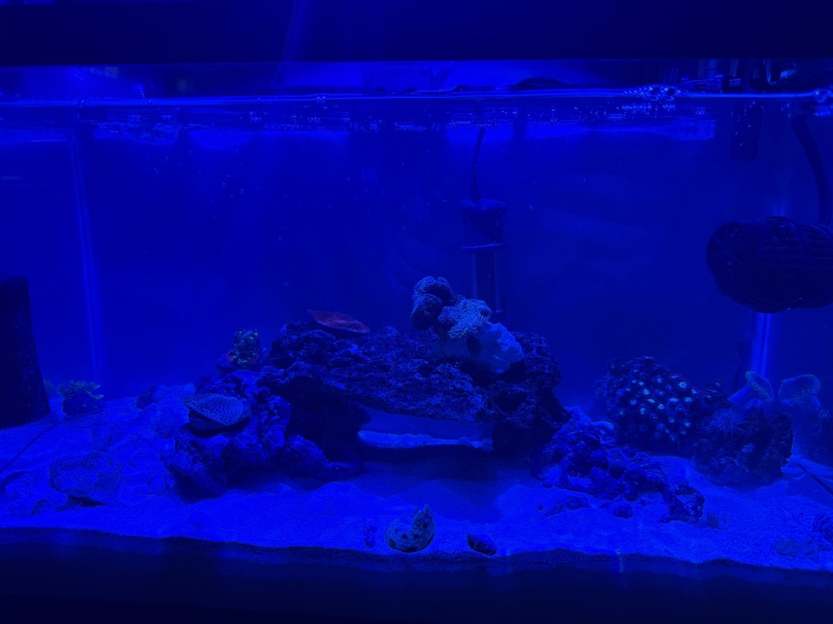 IMG_0463.jpeg
