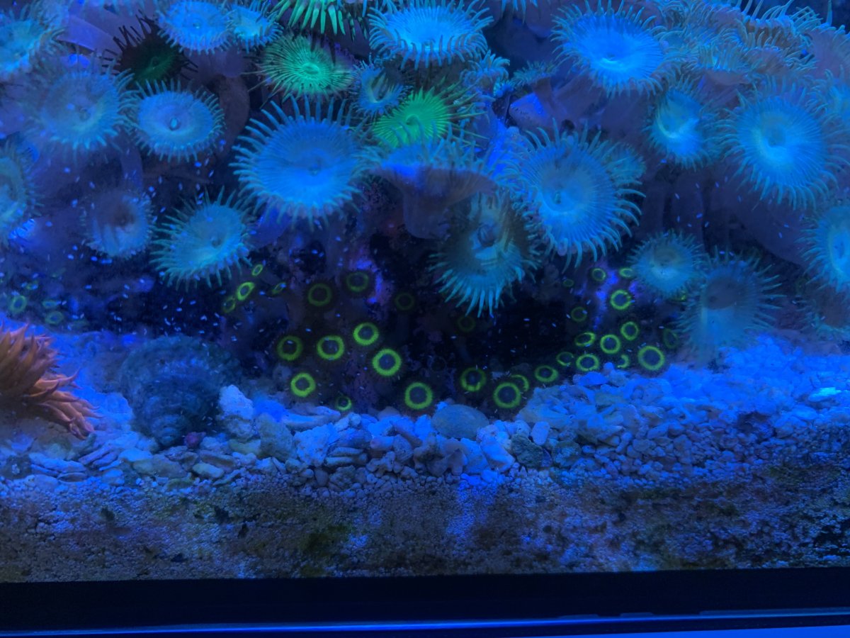 IMG_0471.jpeg
