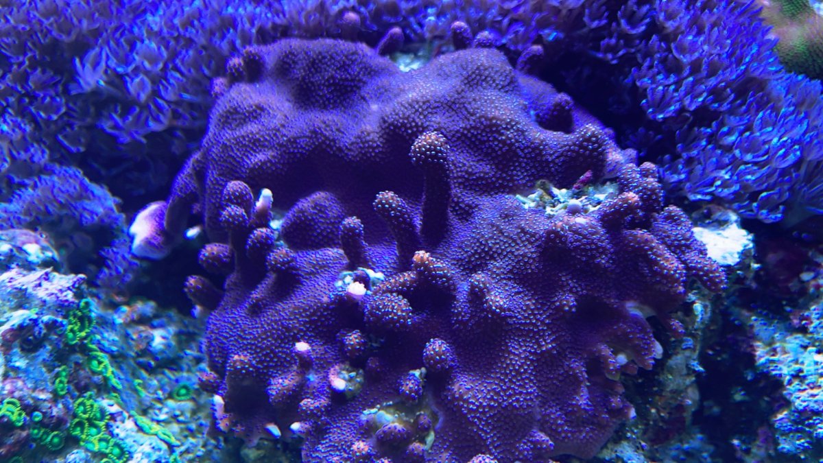 IMG_0476.jpeg