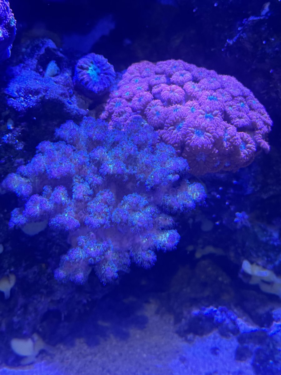 IMG_0477.jpeg