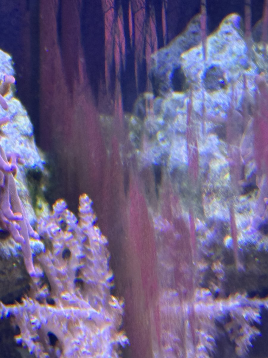 IMG_0477.jpeg