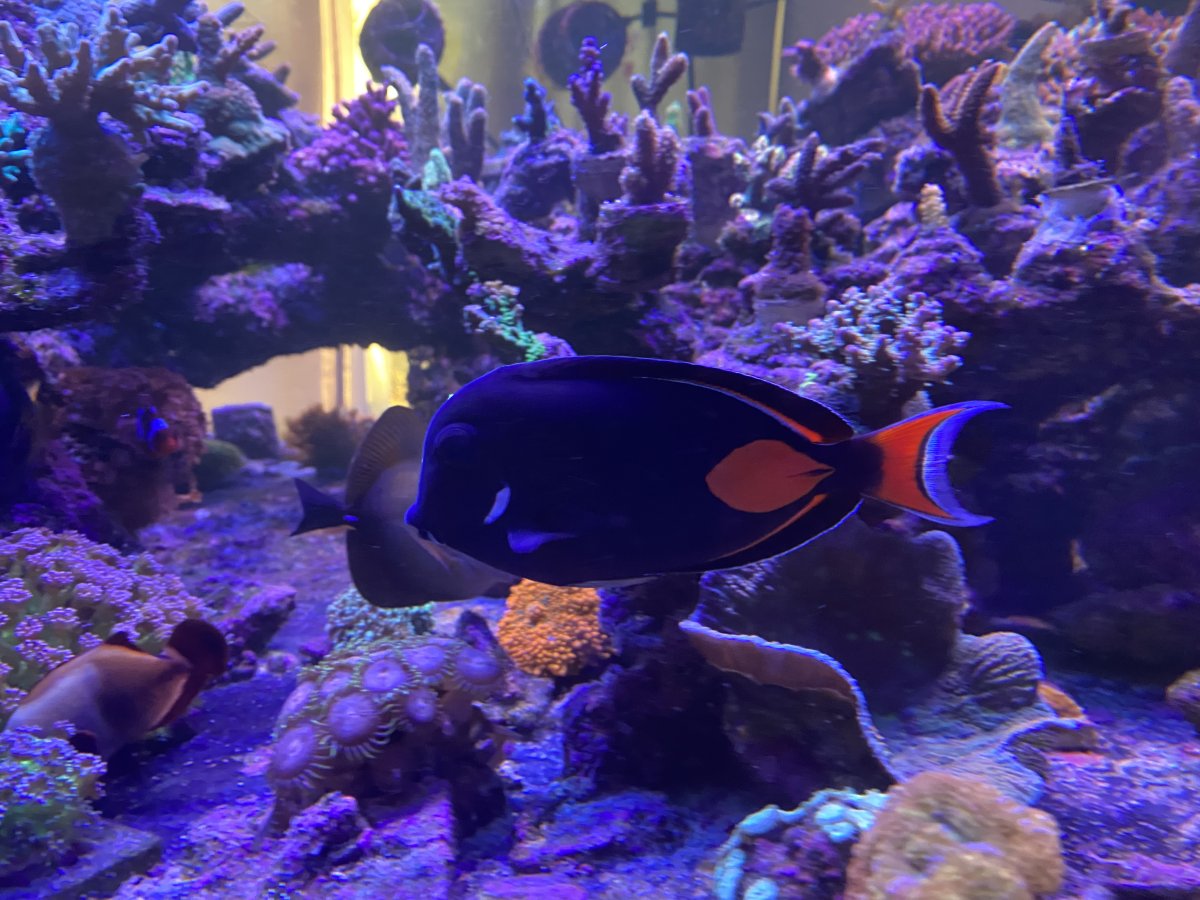 IMG_0481.jpeg