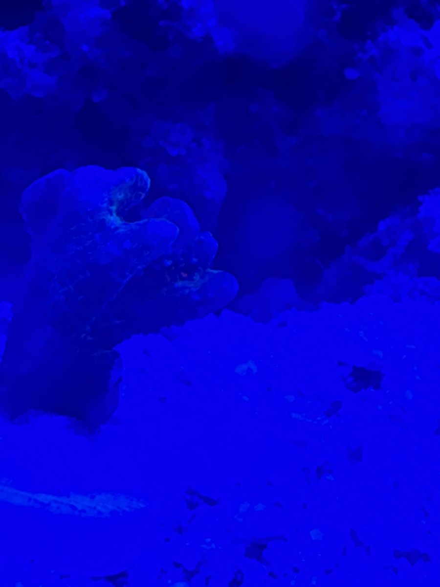 IMG_0488.jpeg