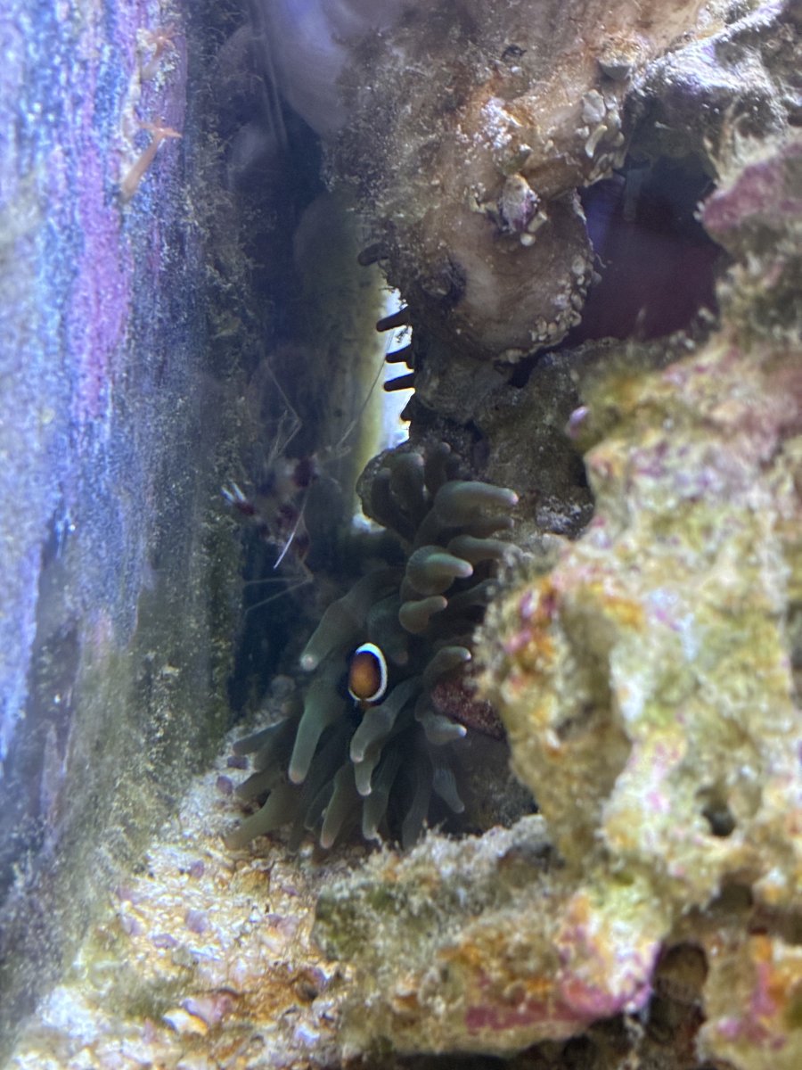 IMG_0489.jpeg