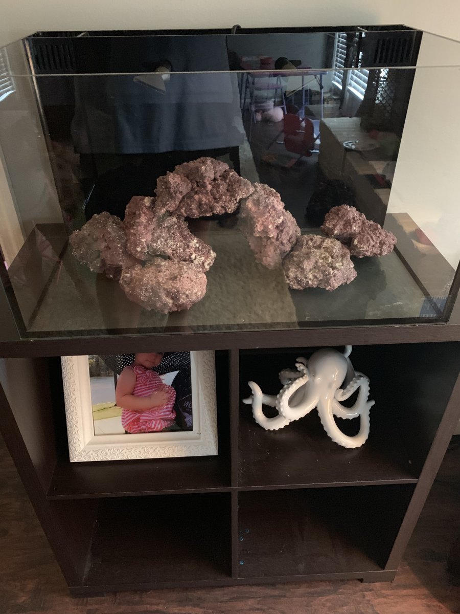 IMG_0492.jpeg