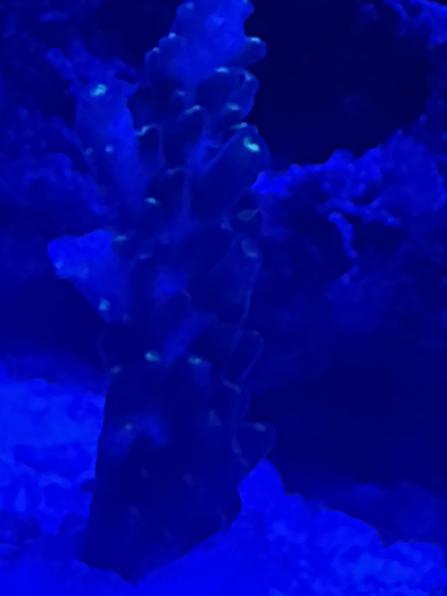 IMG_0493.jpeg