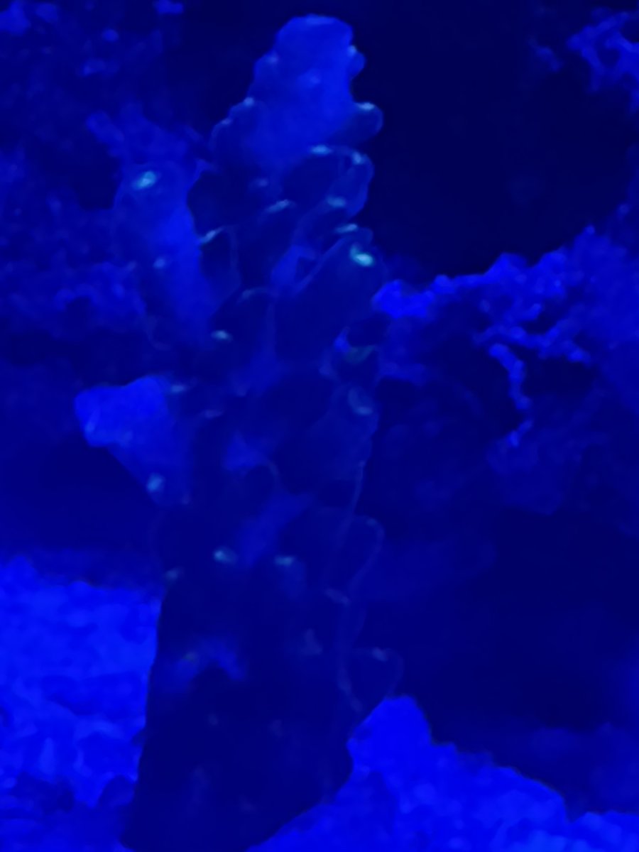 IMG_0494.jpeg