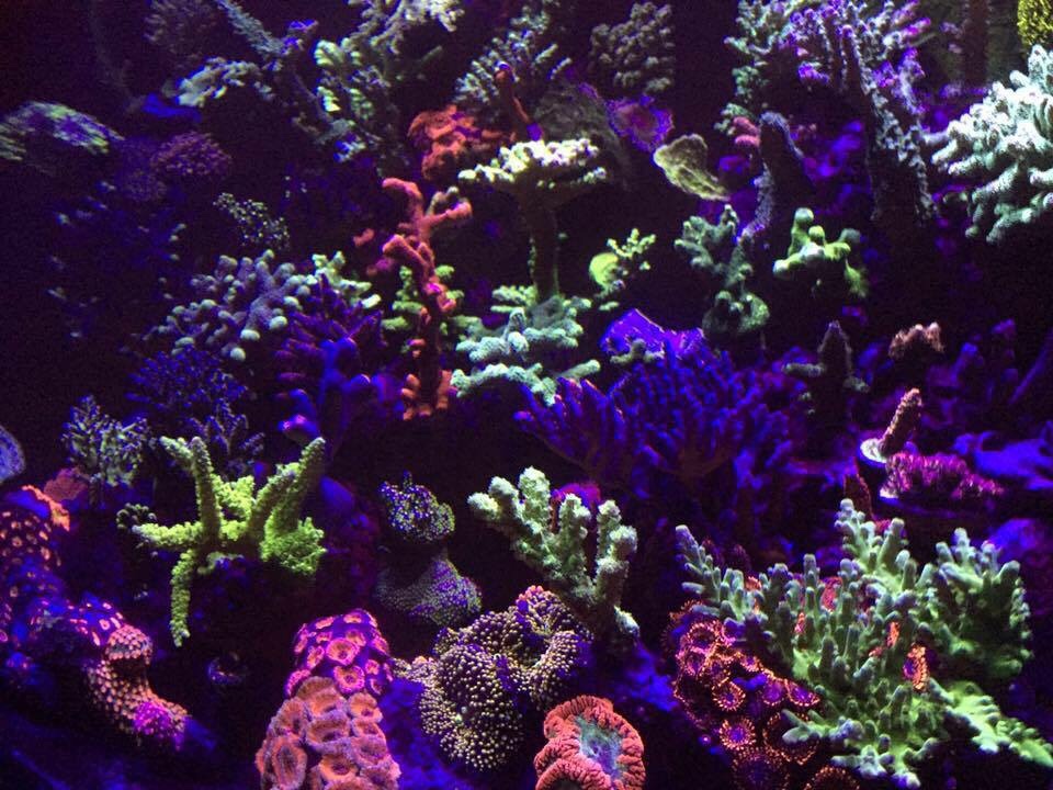 IMG_0495.JPG
