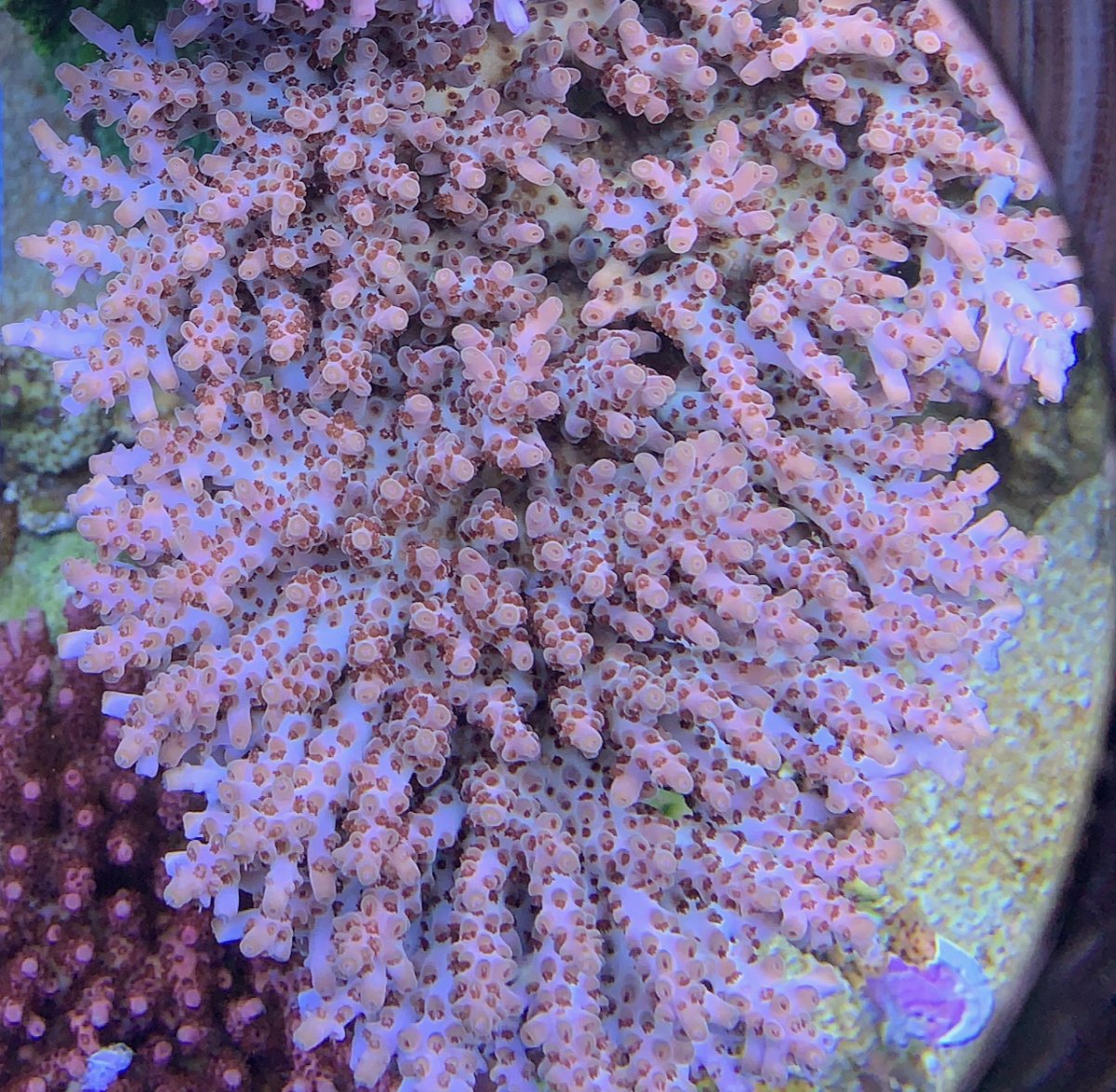 IMG_0500.jpeg