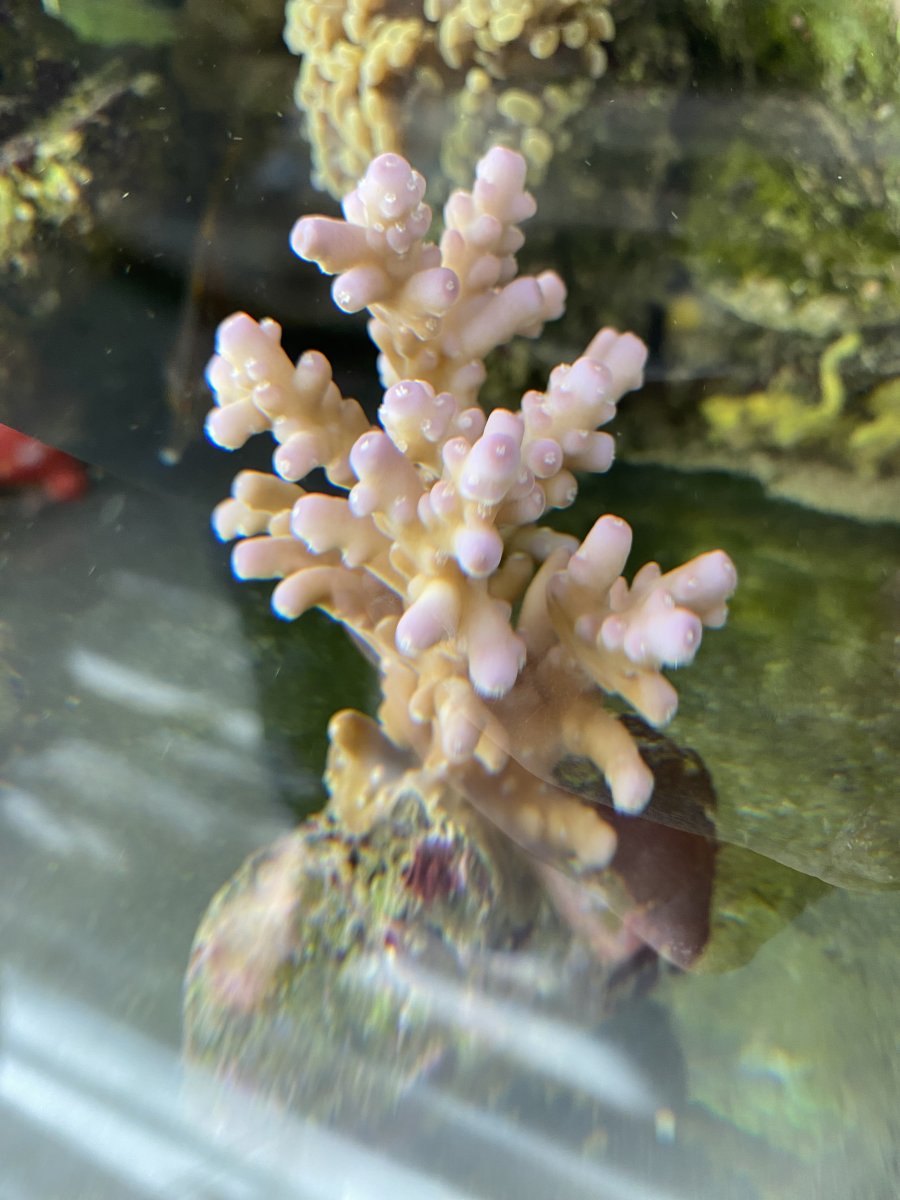 IMG_0500.jpeg
