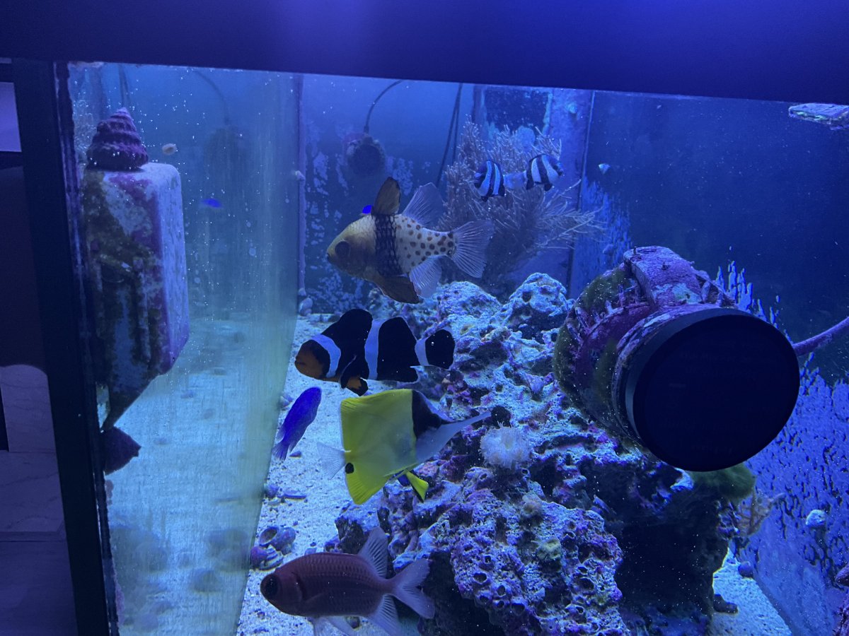 IMG_0500.jpeg