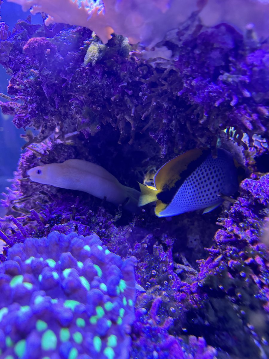 IMG_0501.JPEG